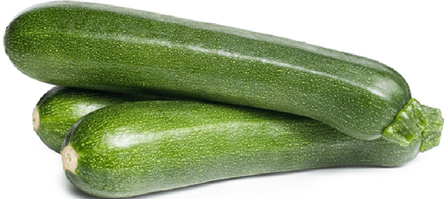 COURGETTES vertes longues