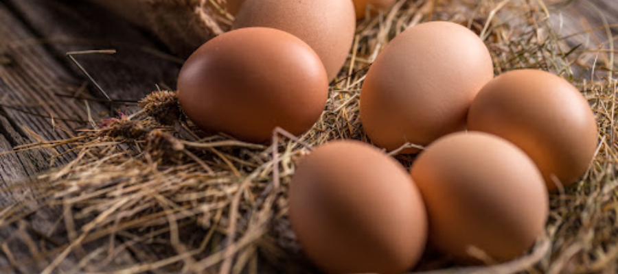 OEUFS 
