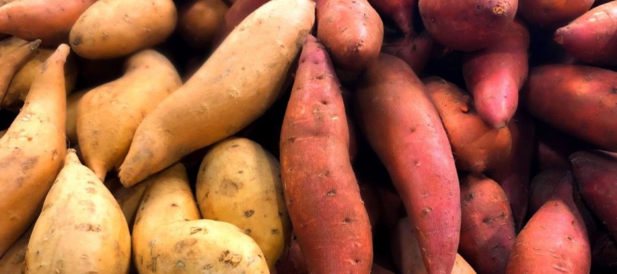 PATATE DOUCE 
