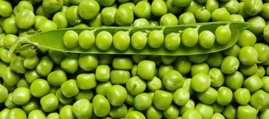 POIS À ecosser