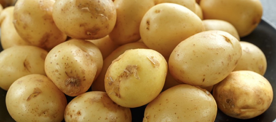 POMME DE TERRE NOUVELLE 