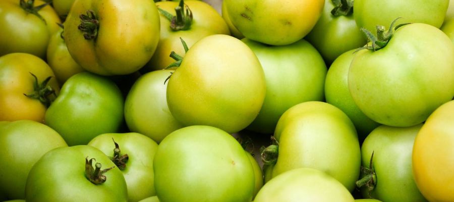 TOMATES VERTES  Pour confiture 