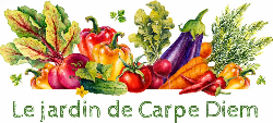 Jardin de Carpe Diem producteur legumes Bio les Eyzies